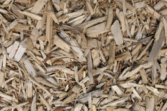 biomass boilers Lingbob